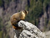 Sequoia National Park
