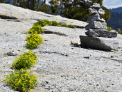 Sequoia National Park