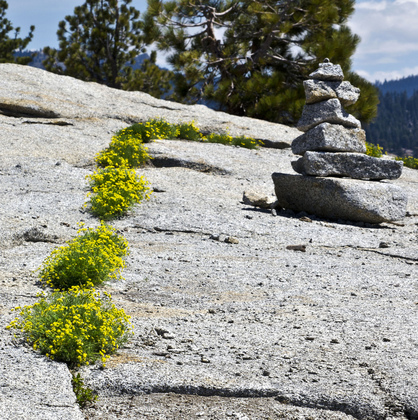 Sequoia National Park