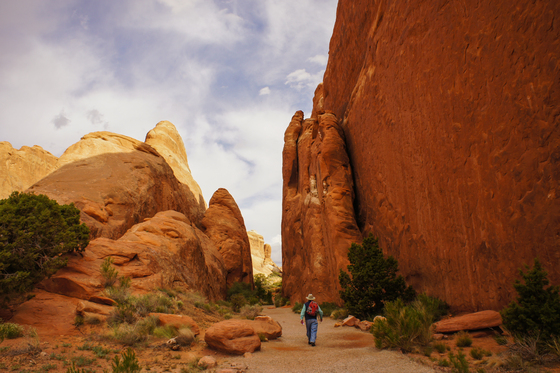 Arches National Park