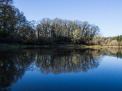 Ridgefield National WIldlife Refuge