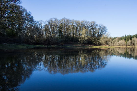 Ridgefield National WIldlife Refuge