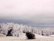 blue ridge parkway