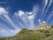 Dinosaur Provincial Park