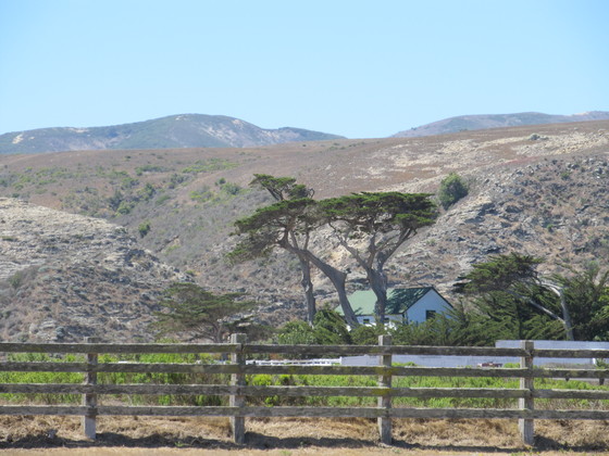 Channel Islands National Park