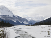 The Icefields Parkway