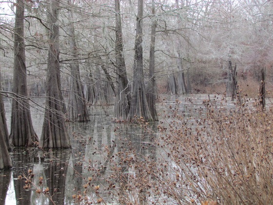 catahoula national wildlife refuge