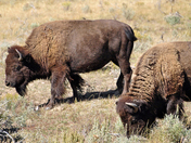 Grand Teton National Park