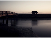 Don Edwards Wildlife Refuge