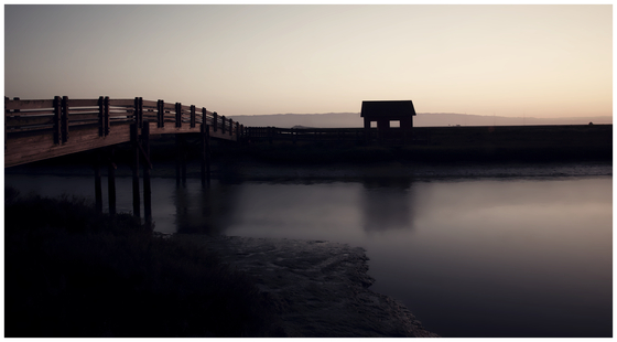 Don Edwards Wildlife Refuge