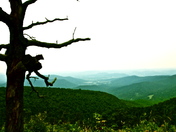 Shenandoah National Park 