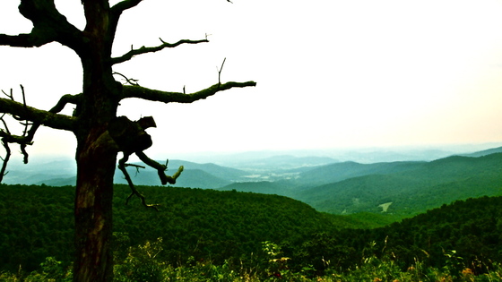 Shenandoah National Park 