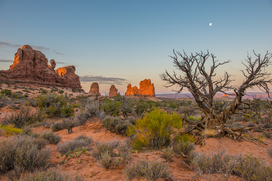 Arches National Park