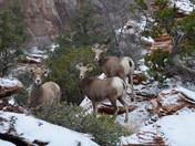 Zion National Park