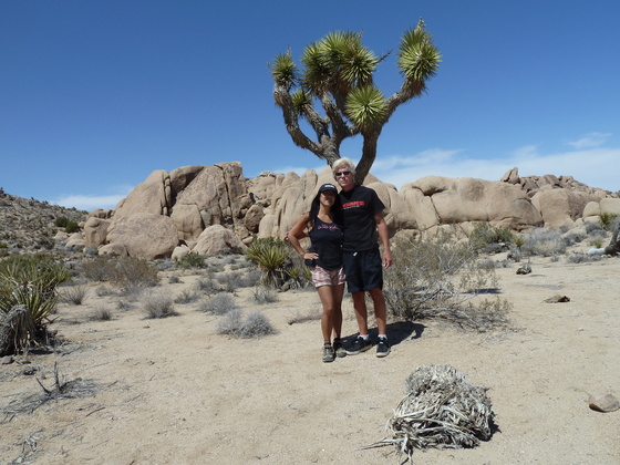 Joshua Tree National Park