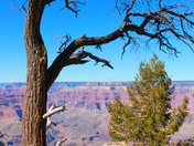 Grand Canyon National Park