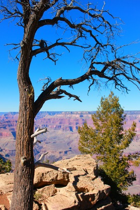 Grand Canyon National Park