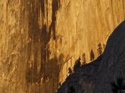 Yosemite National Park