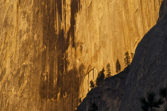 Yosemite National Park