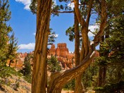 Bryce Canyon National Park