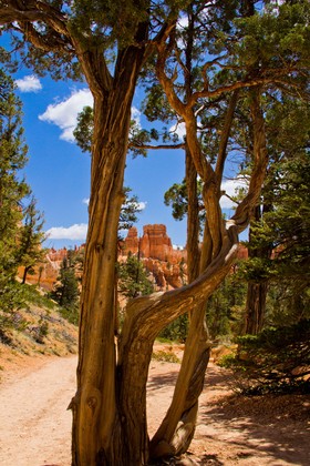 Bryce Canyon National Park