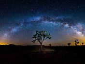 Joshua Tree National Park