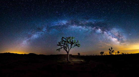 Joshua Tree National Park