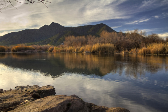 Salt River Recreation area / Tonto National Forest