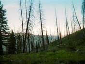 Boise National Forest