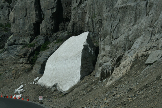 Glacier Park 