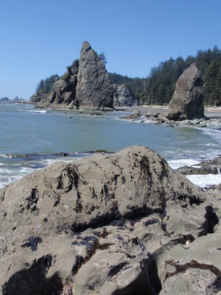 Olympic National Park