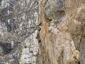 King's Canyon National Park