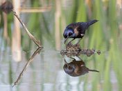 Holy Crap! Is that me.