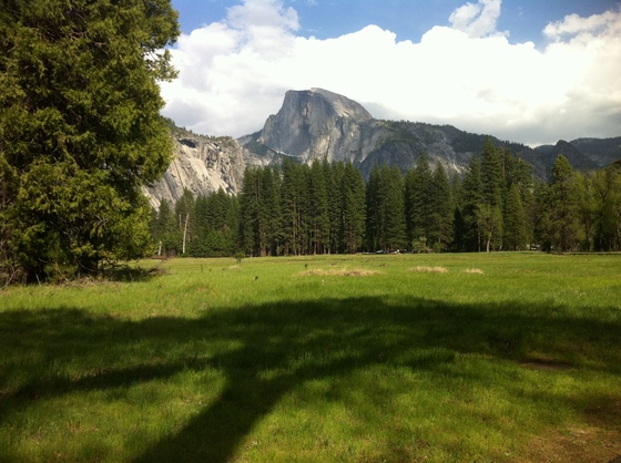Yosemite National Park