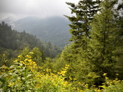 The Great Smoky Mountain National Park