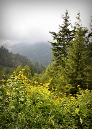 The Great Smoky Mountain National Park