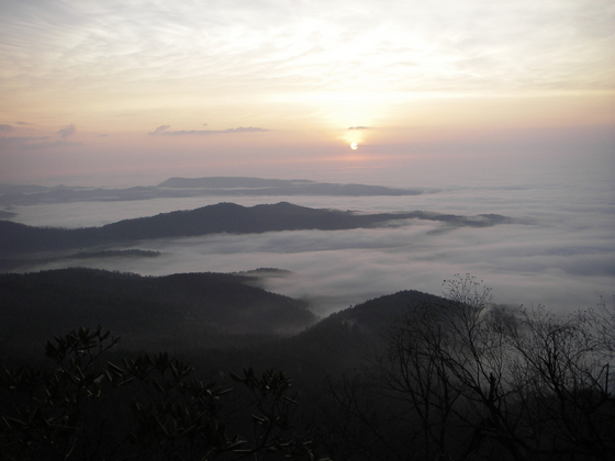 Pisgah National Forest