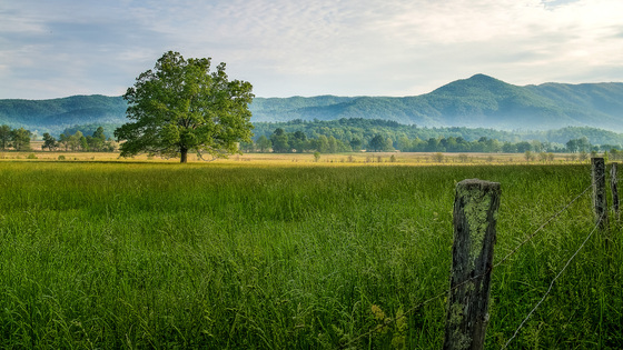 Great Smokey Mountains NationalPark