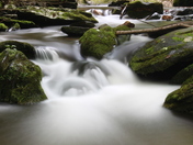 Rock Castle Gorge