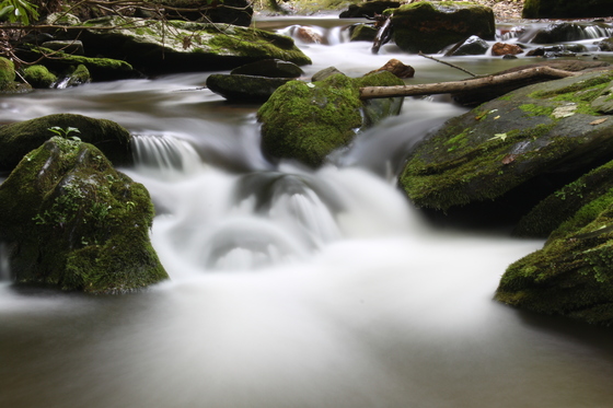 Rock Castle Gorge