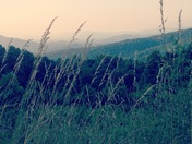 Shenandoah National Park
