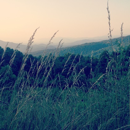 Shenandoah National Park