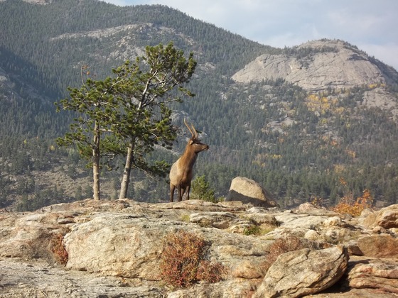 Rocky Mountain National Park