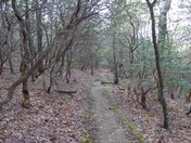 Appalachian Trail