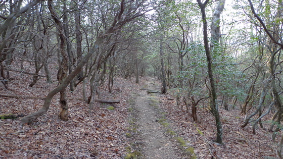 Appalachian Trail