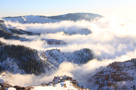 Cedar Breaks, UT
