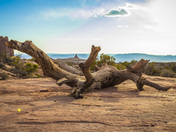 Arches National Park