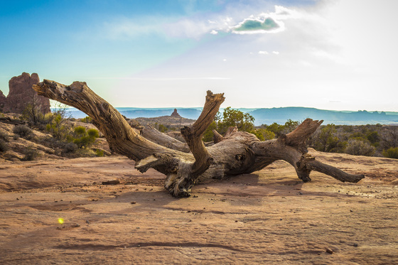 Arches National Park