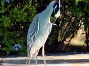 Getting ready for photo op