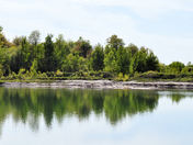 The Reflection of the nature